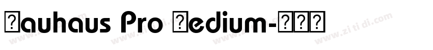 Bauhaus Pro Medium字体转换